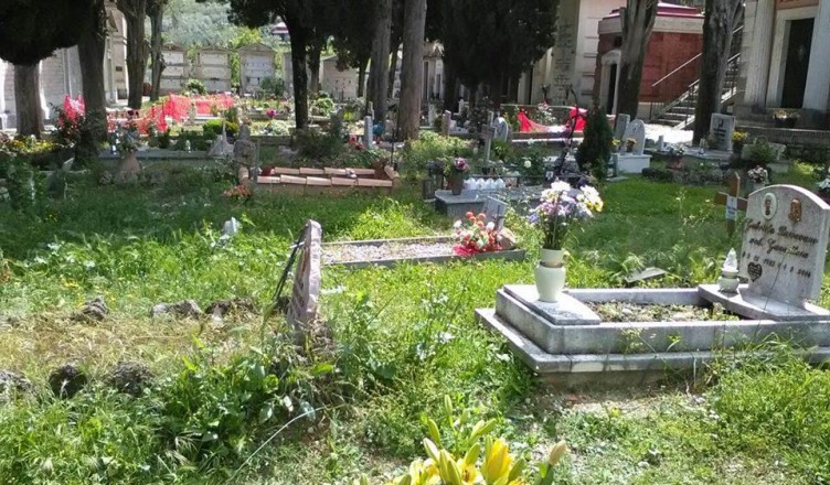 arpino-degrado