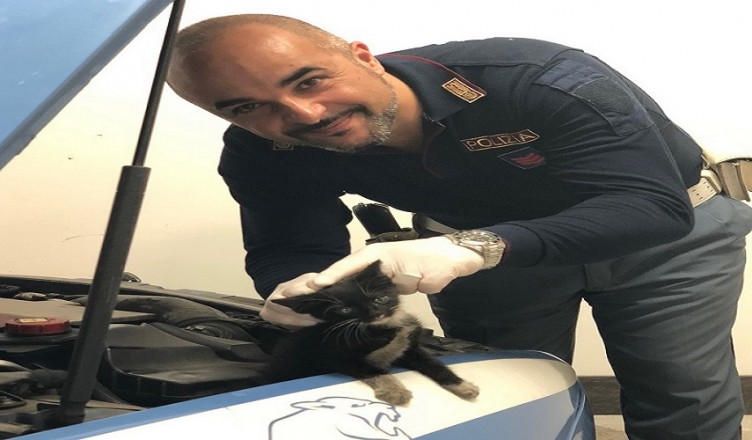 pantera-con-poliziotto