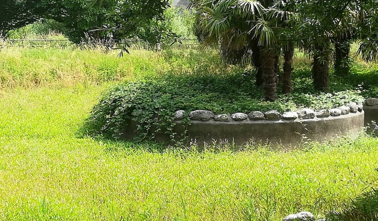 degrado-parco-fluviale