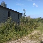 vallone2