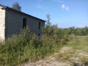 vallone2