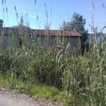vallone3