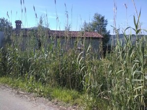 vallone3