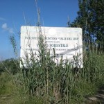 vallone4