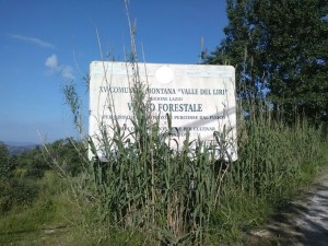 vallone4