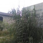 vallone5