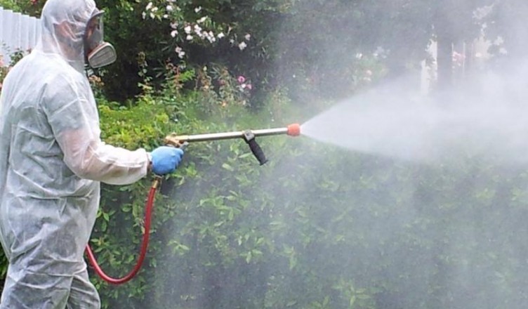 disinfestazione