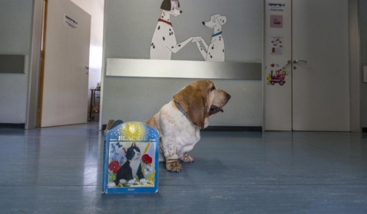 serena-cane