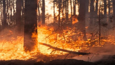 catasto-incendi