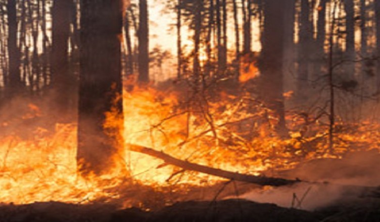 catasto-incendi