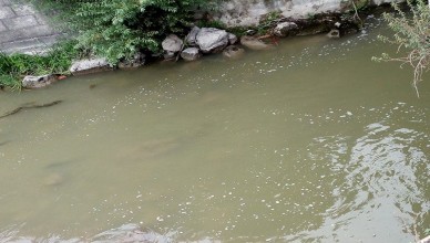 fiume-liri-sora