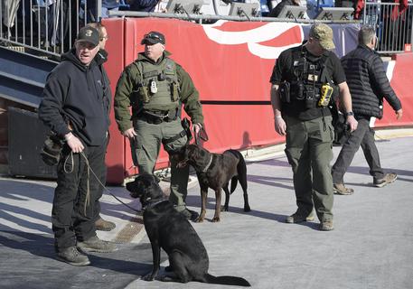 epa06461879 Police and Canine units on the field prior to the start of the New England Patriots versus the Jacksonville Jaguars in the AFC Championship game at Gillette Stadium in Foxborough, Massachusetts, USA, 21 January 2018.  The winner will go on to face either the Philadelphia Eagles or the Minnesota Vikings in Super Bowl XLII in Minneapolis, Minnesota on 04 February 2018.  EPA/JOHN CENTRINO
