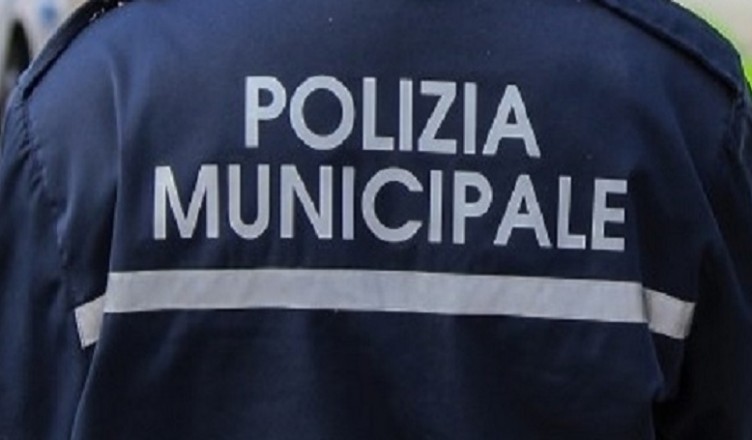 municipale