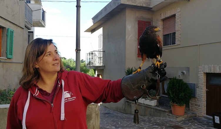 bird-control-1