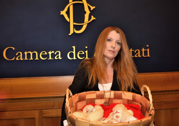 brambilla