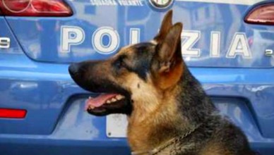 cinofila-polizia-3