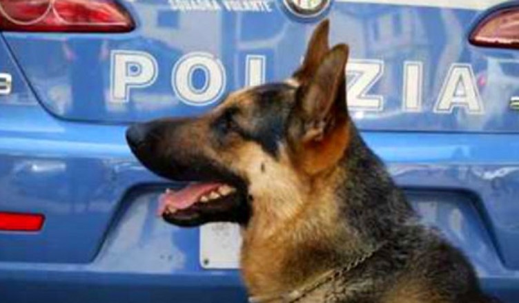 cinofila-polizia-3