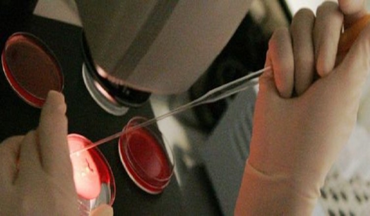 hiv-roma