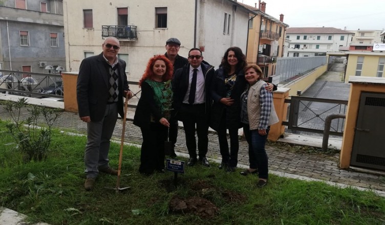 esperia-pontecorvo-festa-albero