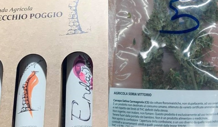 vino-e-canapa