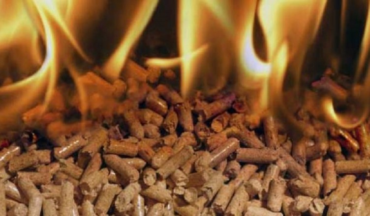 pellet