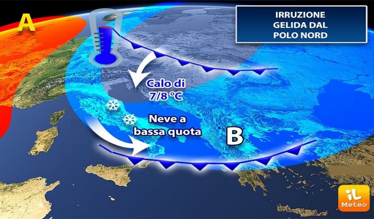 freddo-immacolata