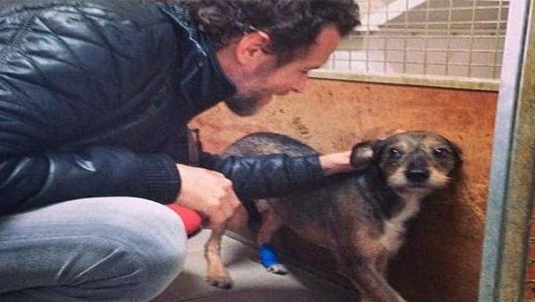 jovanotti cane canile natale