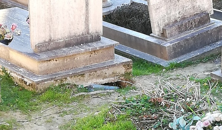 dig