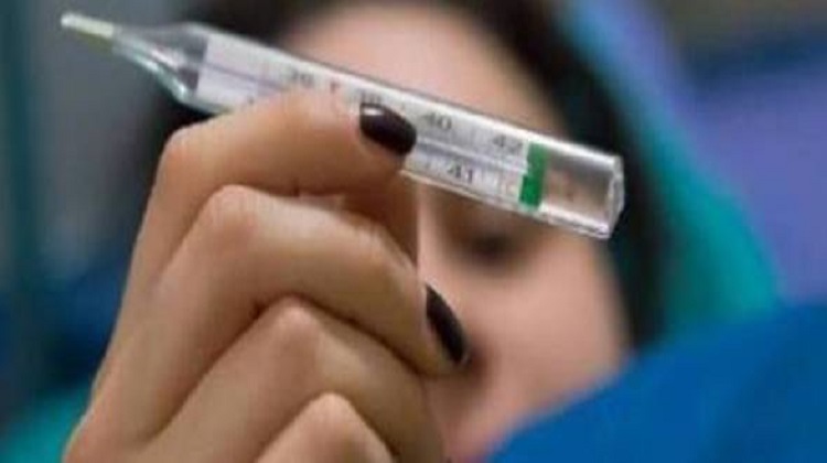 influenza picco