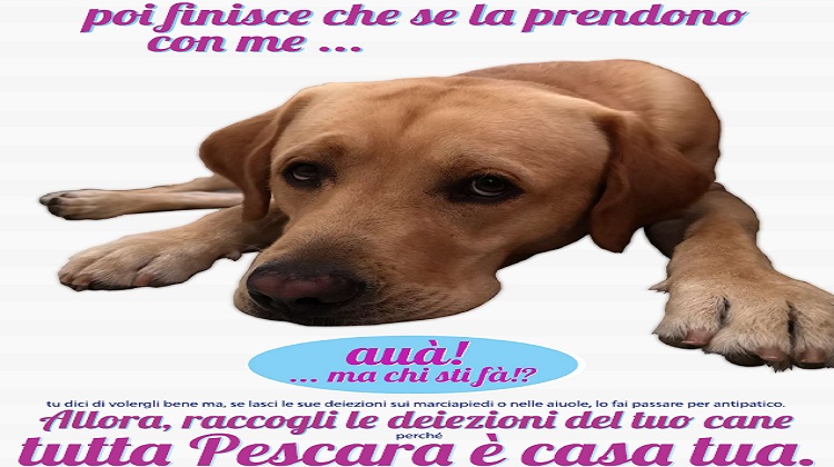 CANE pescara