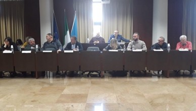 Consiglio 22 marzo 2019 (1)
