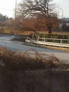 degrado arpino 5