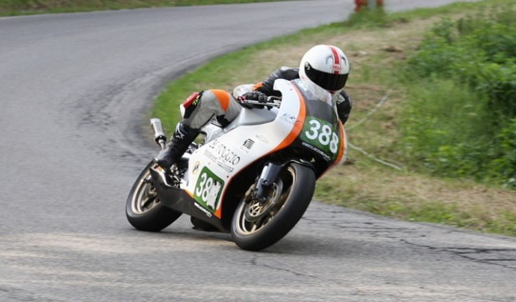 Vigilucci Leccio