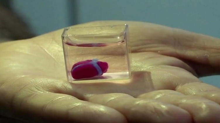 cuore 3D