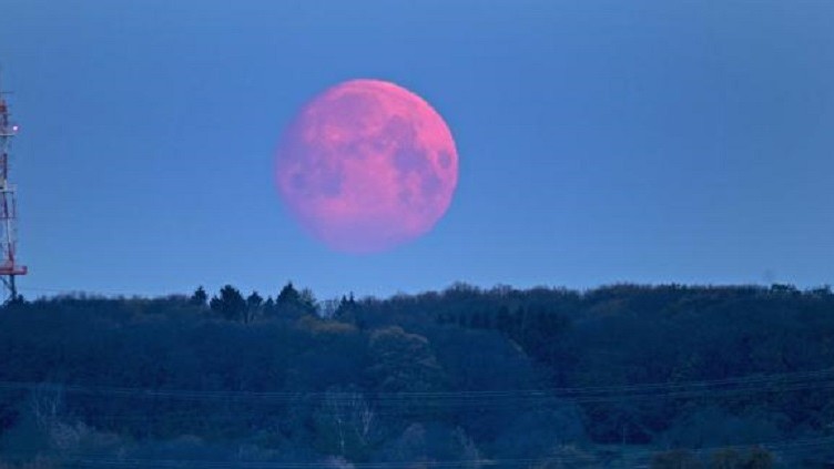 luna rosa