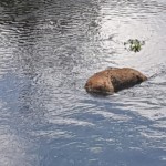 IMG-20190529-WA0005
