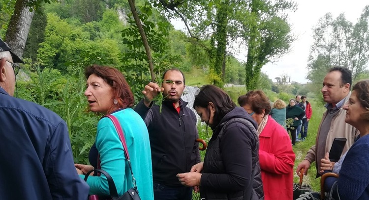 corso Riconoscimento e Utilizzo di Piante Officinali
