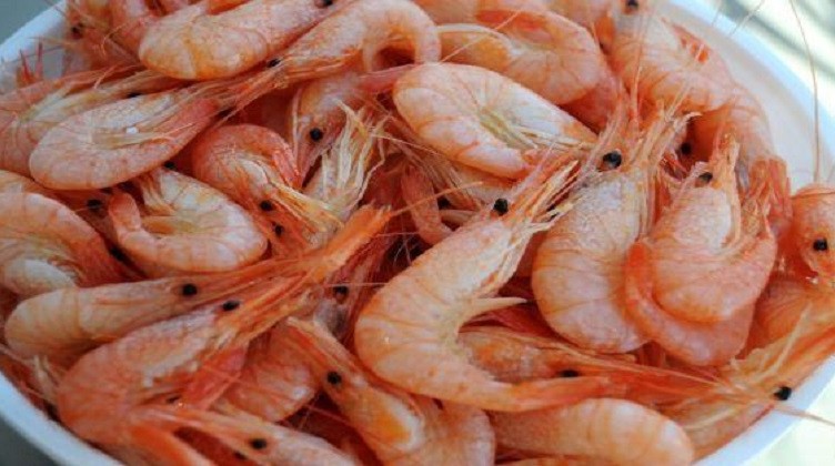 gamberetti contaminati