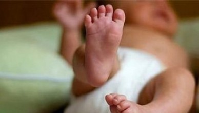 neonato salvato da cane disabile