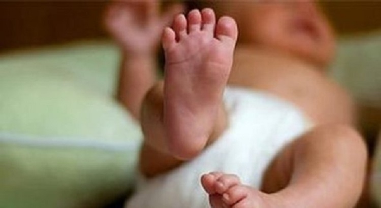 neonato salvato da cane disabile