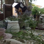 IMG-20190616-WA0006