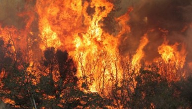 incendi