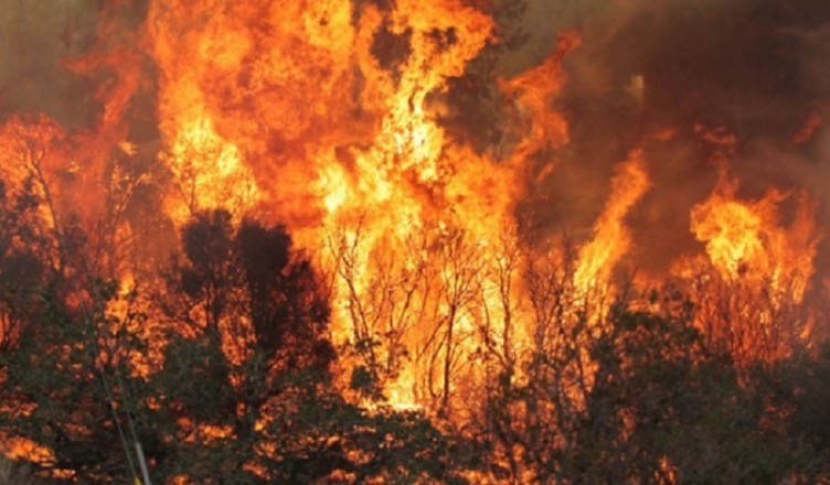 incendi