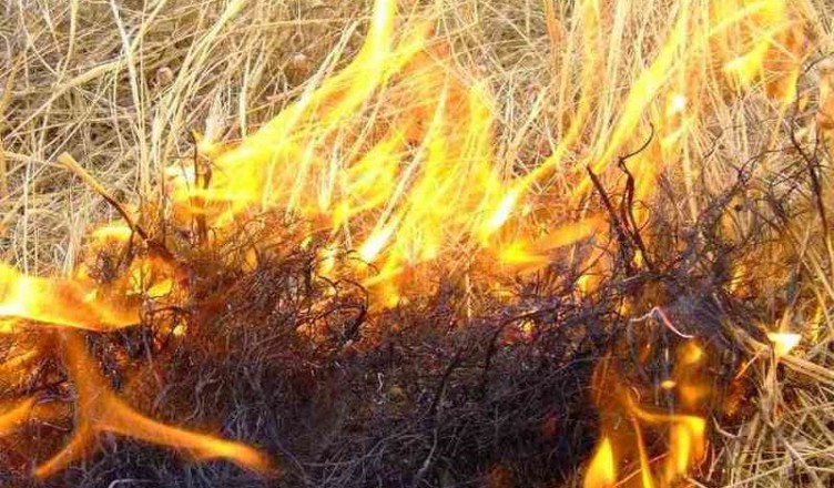 incendi