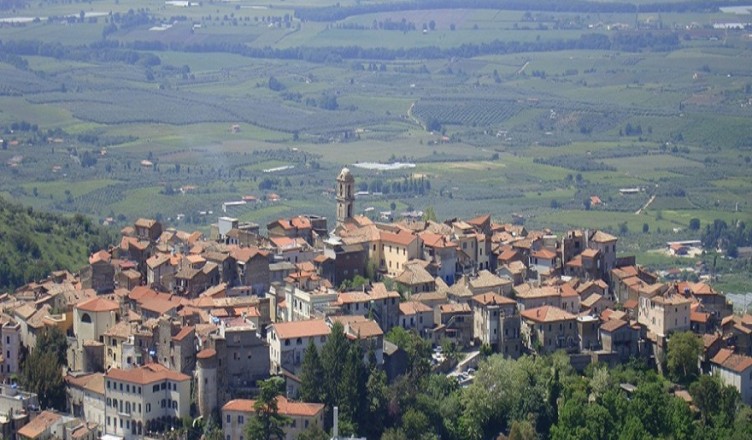 Cori (3)