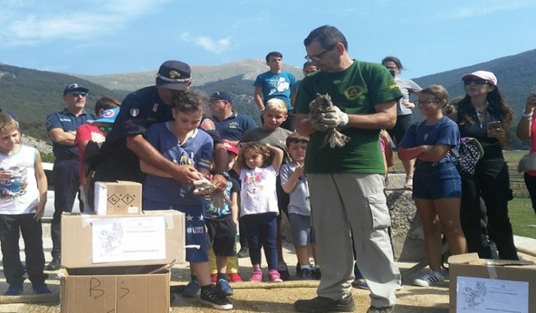 liberazione rapaci bambini