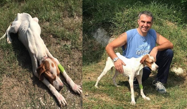 gianni e fortunella