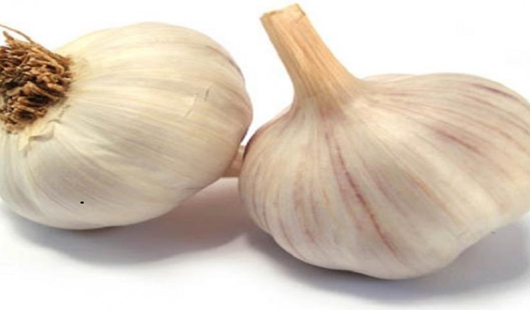 AGLIO..