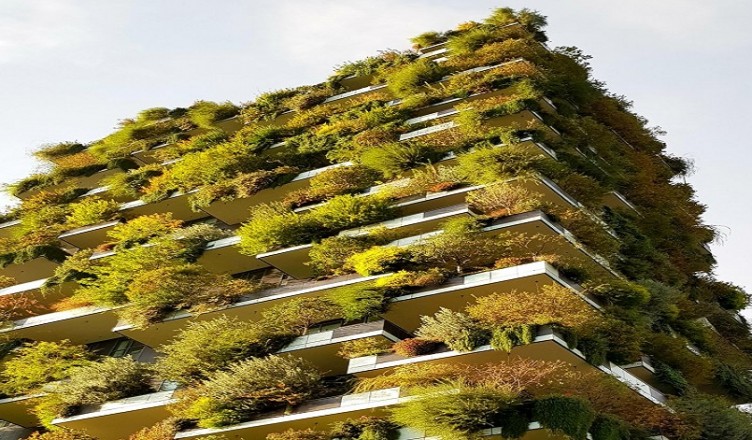 Bosco Vertocale