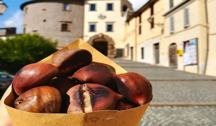castagna 2019